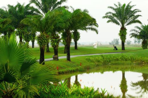 越南隆城高尔夫俱乐部 Long Thanh Golf Club | 越南高尔夫球场 | 胡志明高尔夫 商品图10