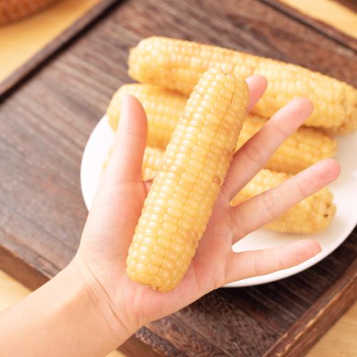 和菜头 玉巴掌 西双版纳软糯玉米 每箱2公斤 商品图1