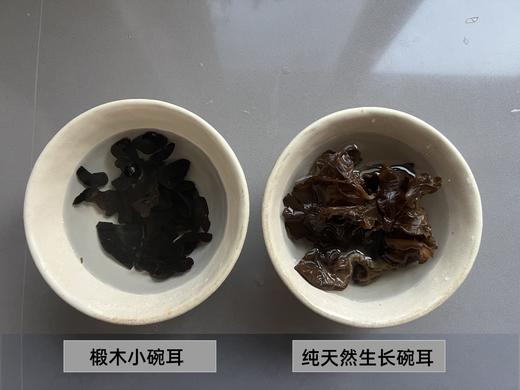 【长白山特级木耳】椴木小碗耳/秋木耳250g/袋，特价79元；纯自然生长木耳200g/袋，特价79元 商品图2