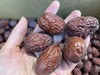 【整件批发价】正宗新疆若羌灰枣，不熏不洗不泡，原生态种植，自然吊干；核小皮薄，肉紧厚实，香甜软糯，营养丰富。 商品缩略图2