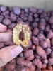 【整件批发价】正宗新疆若羌灰枣，不熏不洗不泡，原生态种植，自然吊干；核小皮薄，肉紧厚实，香甜软糯，营养丰富。 商品缩略图8