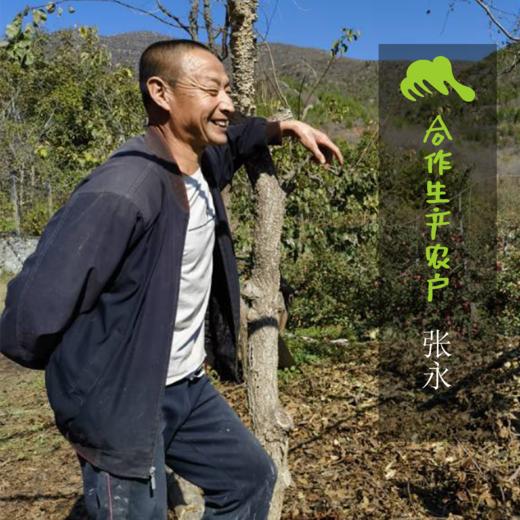 生态红富士苹果（河北）| 合作生产 * Ecological  Apple | Coproduction 商品图1
