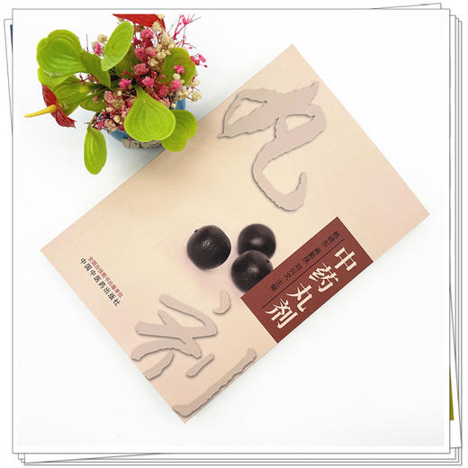 中药丸剂 杨晓东 黄勤挽 刘兴文 主编 中国中医药出版社 商品图1