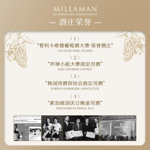 【五星级酒店指定用酒】智利名庄金鹰酒庄系列葡萄酒 智利原瓶进口 商品图8
