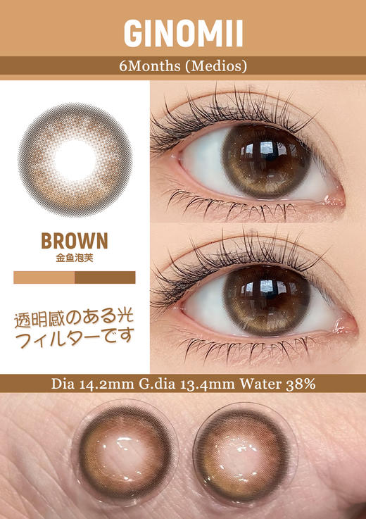 GINOMII 半年抛 通勤印象/金鱼泡芙   （巧咖棕 14.2mm 最高800度） 商品图2