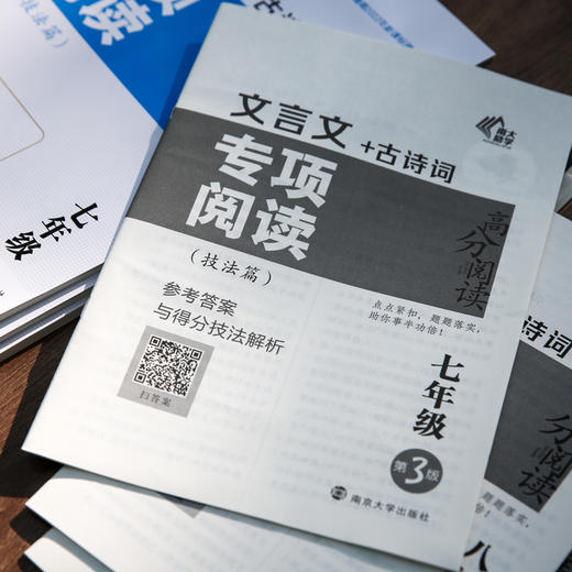 第三版 年级任选 文言文专项阅读 技法篇 789年级 南京大学出版社 初中教辅 学生用书 南大教辅 高分阅读系列 ND 商品图4