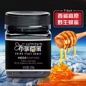 【严选】西藏布瑞藏蜜 西藏高原野生狼牙刺蜜250g/瓶  （厂家直发）