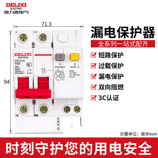 【DZ】德力西空气开关 空开漏电保护断路器总闸漏保 C型 2P 32A DZ47sLE 商品图0