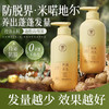 儒意珠翠丰盈 生姜防脱固发洗发水 控油蓬松头生增密男女士洗发  500g/瓶 商品缩略图0