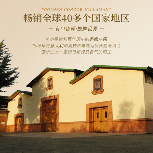 【五星级酒店指定用酒】智利名庄金鹰酒庄系列葡萄酒 智利原瓶进口 商品图12