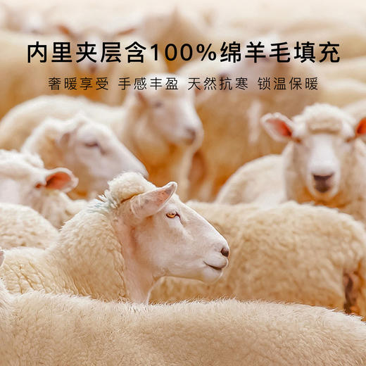 【填充物100%绵羊毛】带胸垫保暖背心秋冬磨毛打底免穿文胸女贴片固定杯背心 商品图2