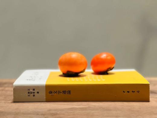 《秦文字通论》，王辉陈昭容 王伟 着，小16开，平装，600页，中华书局2017年二印。定价136，售价55元。 商品图11