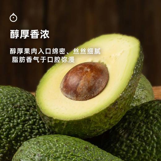 企鹅市集|云南孟连哈斯牛油果大果4枚/8枚装 国产新鲜 绵密丝滑 商品图2
