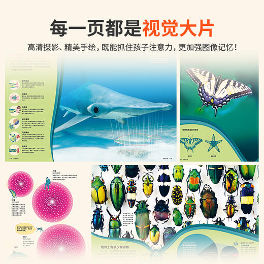 《大英儿童百科知识大数据》 商品图6