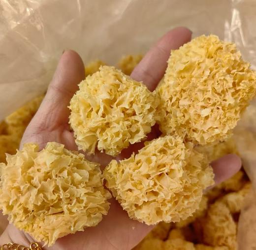 【养生系列】通州小椴木银耳、双朵银耳，自然清香，胶质浓郁，耳片软滑而不烂，久炖不糊，汤汁清透，养肺养生 商品图4