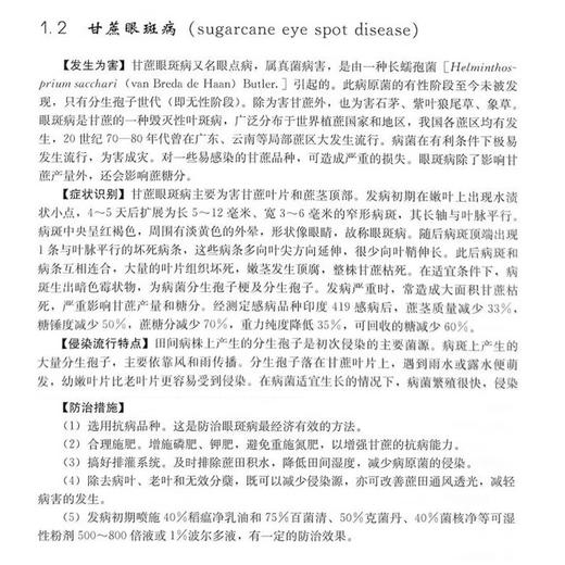 现代甘蔗病虫草害诊治彩色图谱【官方正版，可开发票，下单时留开票信息和电子邮箱】 商品图3