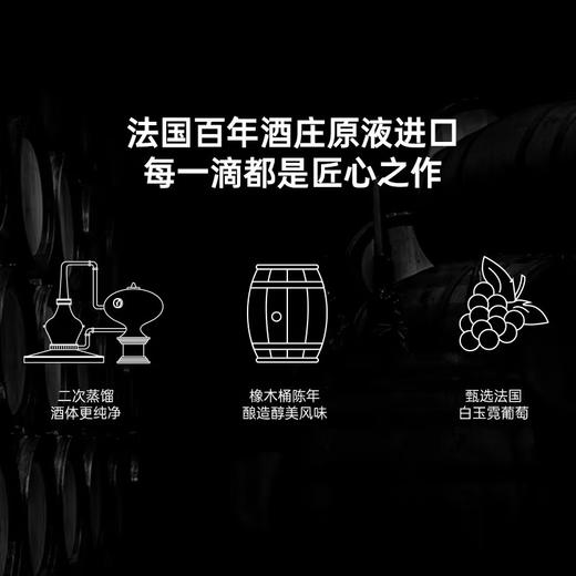 白焱/经典白兰地 商品图4