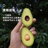 企鹅市集|云南孟连哈斯牛油果大果4枚/8枚装 国产新鲜 绵密丝滑 商品缩略图5