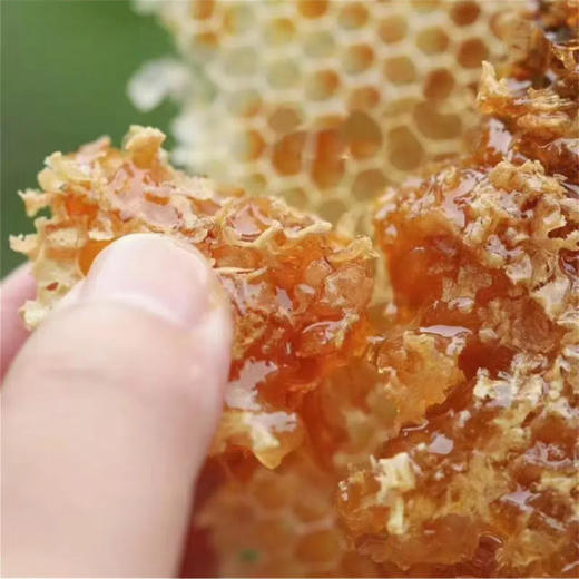 【来自新疆的天然好蜜】亩育万物 新疆伊犁黑蜂蜜 500g*2瓶 伊犁黑蜂雪蜜500g*2瓶  伊犁黑蜂巢蜜 500g*2盒 伊犁黑蜂巢蜜 礼盒装 商品图10