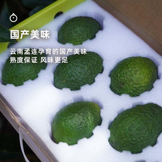 企鹅市集|云南孟连哈斯牛油果大果4枚/8枚装 国产新鲜 绵密丝滑 商品图4