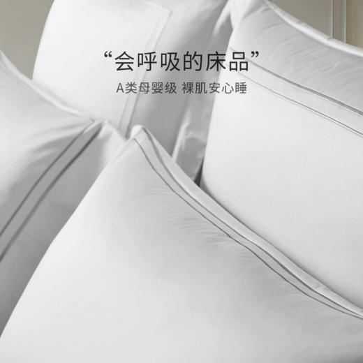 康尔馨四件套酒店纯棉2024新款进口100支埃及棉床笠床单被套全棉 商品图2