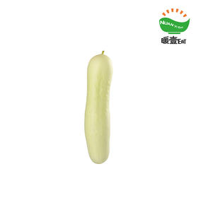 有机白皮黄瓜（500g）