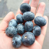 云南蓝莓，18+，脆甜，个别带点酸，250克/盒 商品缩略图0