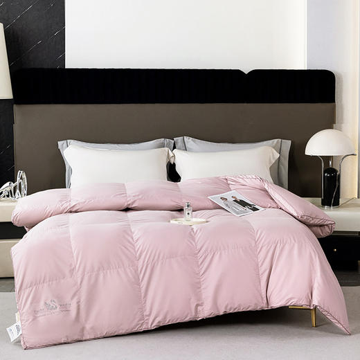 金丝莉 赛羽羽绒被JB-1359 200×230cm 商品图0