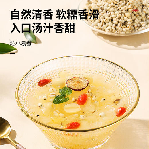 北京同仁堂  青源堂薏苡仁500克Q1000116 商品图2