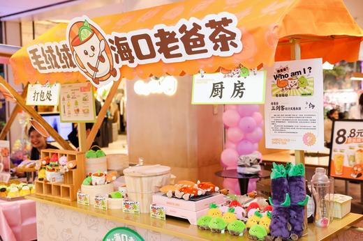 海岛萌主海南老爸茶文创把海岛的浪漫打包带走软fufu的手感和治愈系配色，哪个女生能拒绝这份限定可爱呢，原创老爸茶“绒化"毛绒玩具红diedie 翅金金 斑宝宝 商品图10