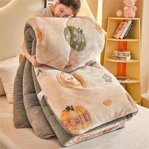 冬季双人双面羊羔绒被子冬被单人双人加厚保暖牛奶绒棉被芯宿舍 商品图4