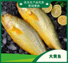 大黄鱼【HXDY】 商品缩略图0
