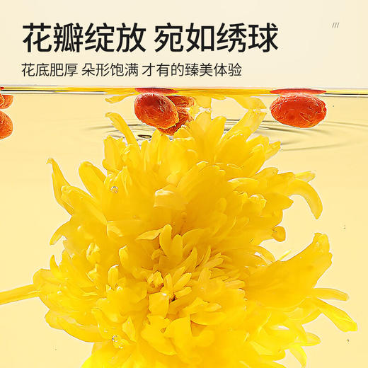 北京同仁堂  青源堂金丝皇菊35朵Q1000189 商品图3