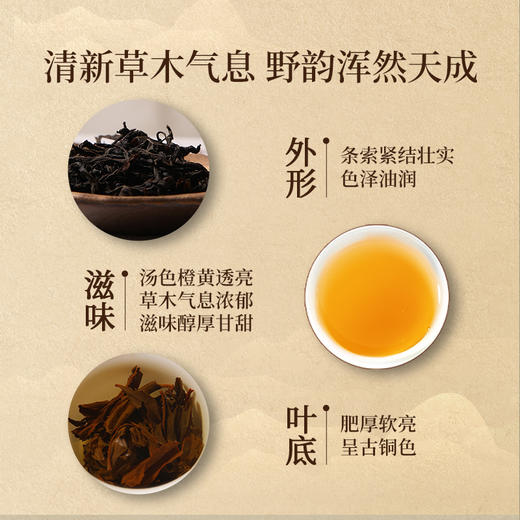 正山堂 简雅嘉颂正山小种野茶礼盒装 红茶高端礼盒180g 商品图6