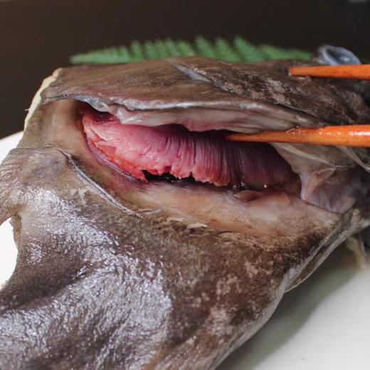 特大鸦片鱼头2斤/只 商品图2