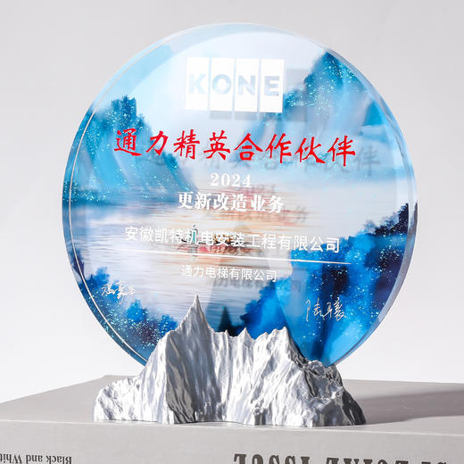 金山银山青山勇攀高峰3D打印奖杯奖牌年会礼品奖章员工奖励 商品图7