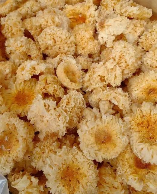 【养生系列】通州小椴木银耳、双朵银耳，自然清香，胶质浓郁，耳片软滑而不烂，久炖不糊，汤汁清透，养肺养生 商品图5