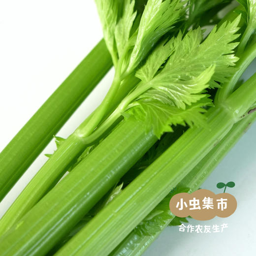 沃野青青有机西芹 4斤装 | 合作农友生产，来自陕西咸阳，生产者：郑力行 *【公平贸易农人定价】 商品图4