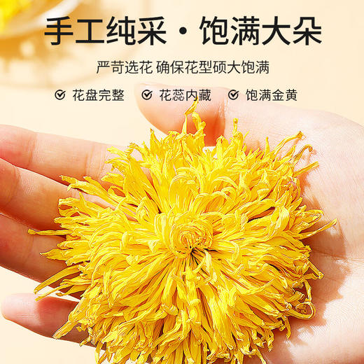 北京同仁堂  青源堂金丝皇菊35朵Q1000189 商品图2