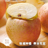 山东威海  雀斑美人苹果  多规格任选 商品缩略图1