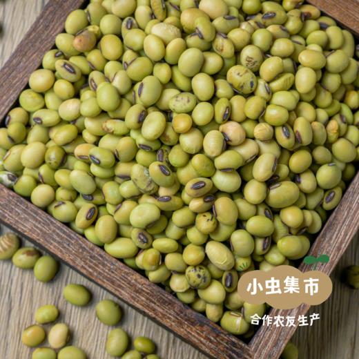 【2025年新豆】生态老品种青皮黄豆 850g/袋 | 合作农友生产，来自贵州黎平洋洞，生产者：杨邦荣 &【公平贸易农人定价】 商品图2