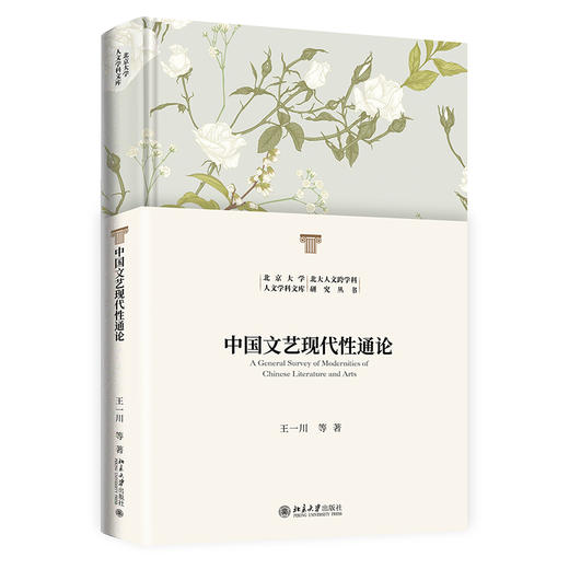 中国文艺现代性通论 王一川 等 著 北京大学出版社 北京大学人文学科文库 商品图0