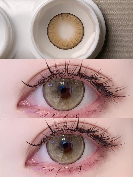 Miragecolor日抛--Y4Brown半熟南瓜（10p/盒） 商品图7