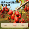 北京同仁堂  青源堂红枣片.500克Q2100092 商品缩略图1