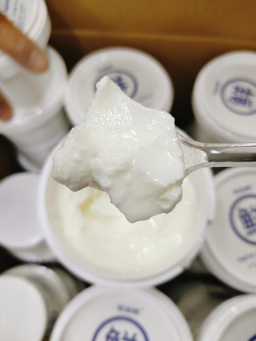 零蔗糖活菌酸牛乳2桶 商品图0