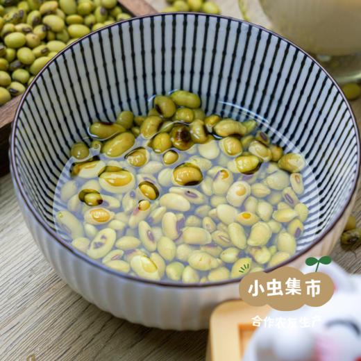 【2025年新豆】生态老品种青皮黄豆 850g/袋 | 合作农友生产，来自贵州黎平洋洞，生产者：杨邦荣 &【公平贸易农人定价】 商品图1