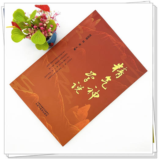 精气神学说 何清湖 刘密 主编 中国中医药出版社 商品图1