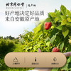 北京同仁堂  青源堂覆盆子200克Q1000061 商品缩略图1