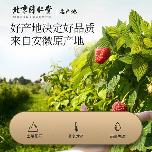 北京同仁堂  青源堂覆盆子200克Q1000061 商品图1