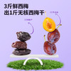 【单一配料  肉质肥厚】无核西梅干 550g/袋 商品缩略图3